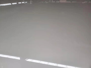 PET复合聚酯膜